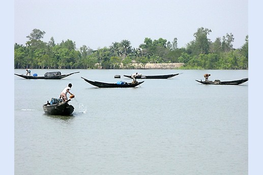 Viaggio in India 2008 - Sunderbans